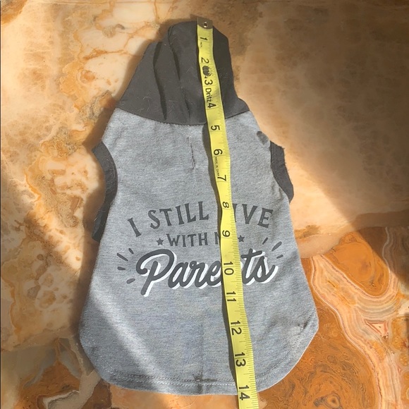 Small cat or dog shirts; super cute!! - Picture 5 of 8